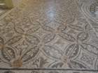 dsc05655_small.jpg