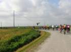 dsc02000_small.jpg