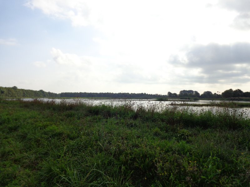 dsc02005.jpg