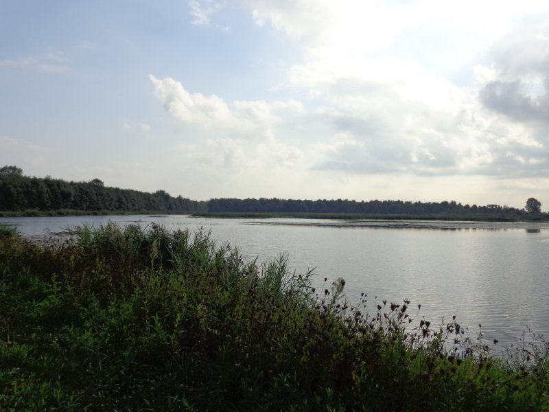 dsc02012.jpg