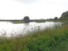 dsc02013_small.jpg