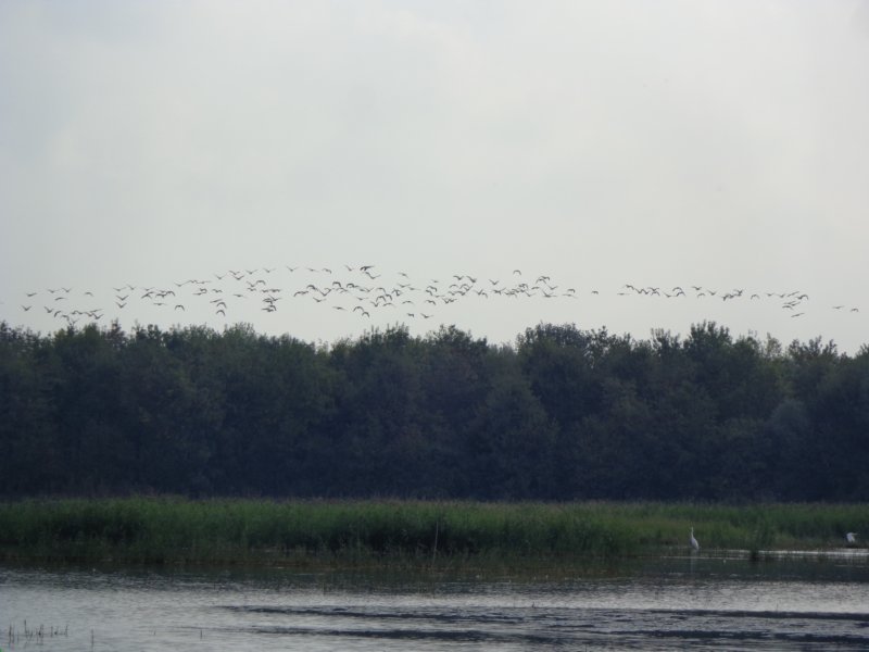 dsc02015.jpg