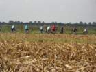 dsc02031_small.jpg