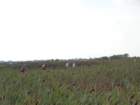 dsc02069_small.jpg