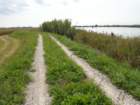 dsc02087_small.jpg