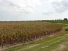 dsc02093_small.jpg
