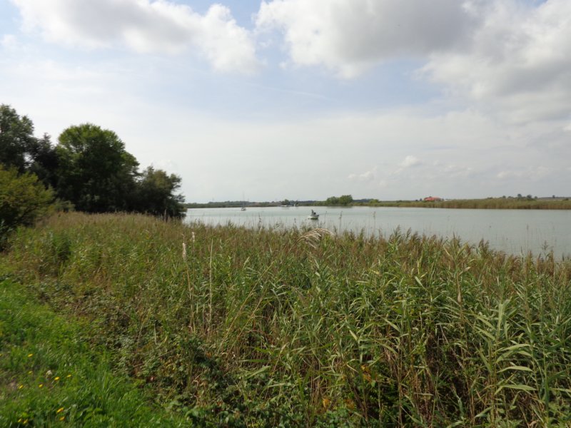 dsc02104.jpg