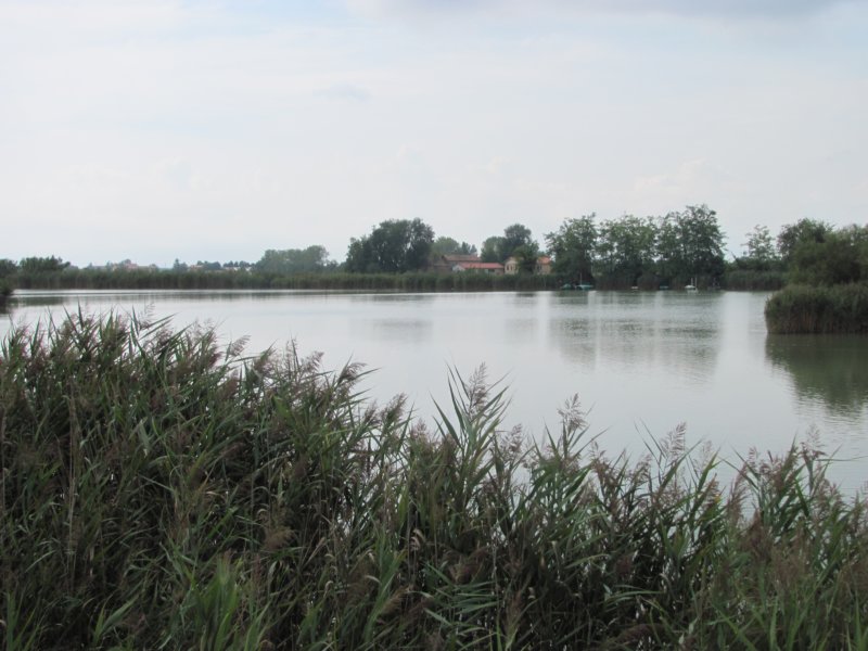 dsc02105b.jpg