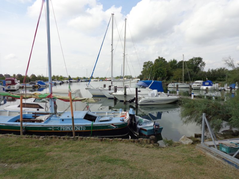 dsc02117.jpg