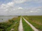 dsc02130_small.jpg