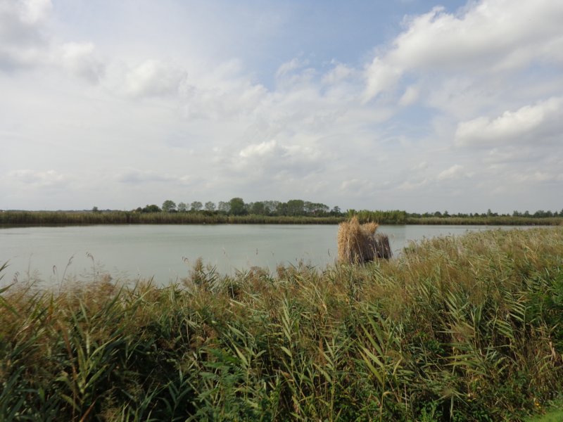 dsc02135.jpg