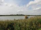 dsc02135_small.jpg