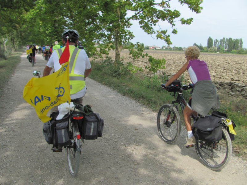 dsc02145d.jpg