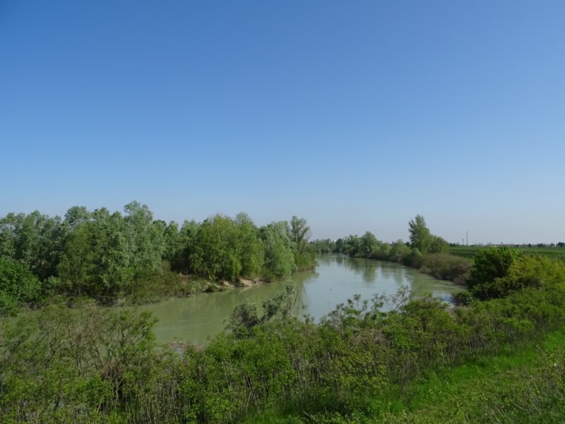 dsc00429.jpg