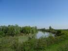 dsc00429_small.jpg