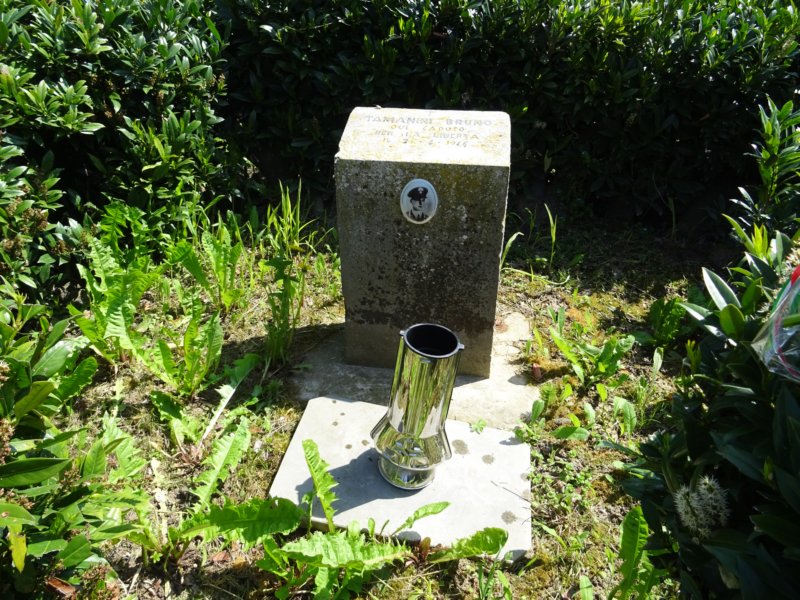 dsc00466.jpg