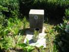 dsc00466_small.jpg
