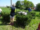 dsc00470_small.jpg