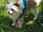 dsc00476_small.jpg