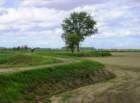 villamarzana22042012019_small.jpg