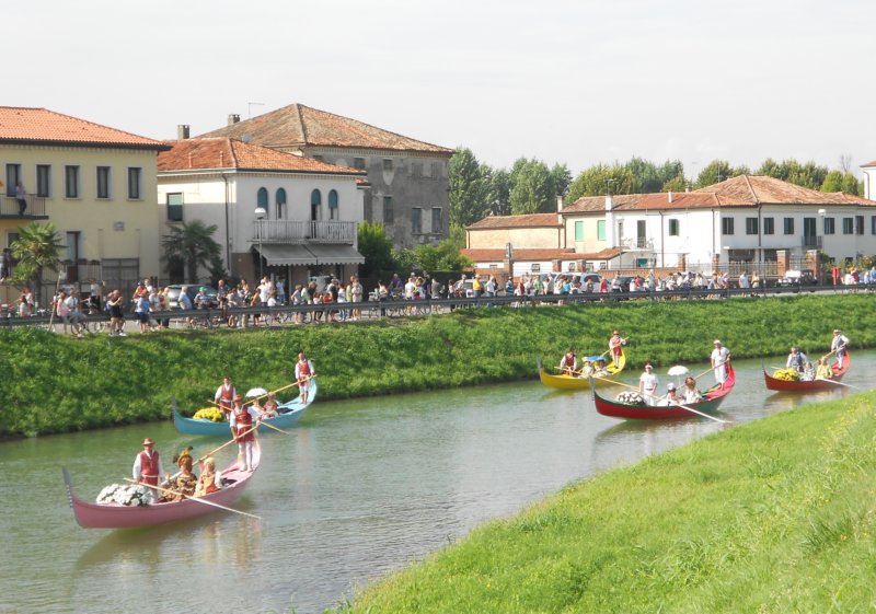 dscn0708.jpg