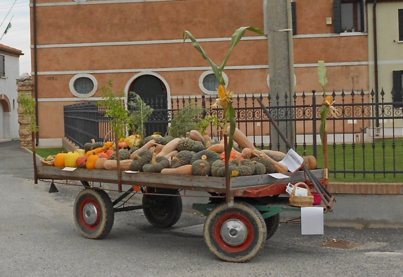 dscn0804.jpg