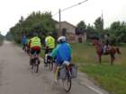 dsc07439_small.jpg