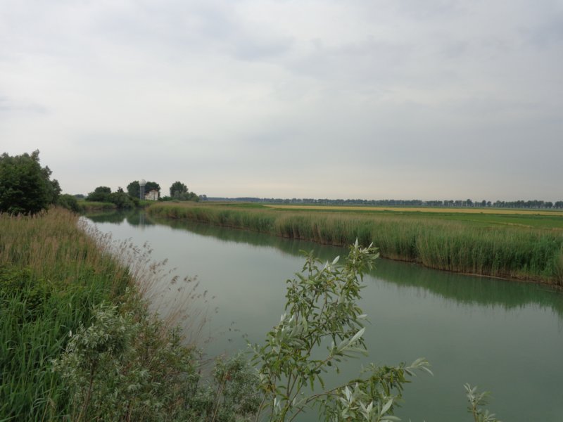 dsc07468.jpg
