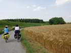 dsc07546_small.jpg