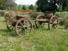 dsc07581_small.jpg