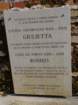 dsc07583_small.jpg