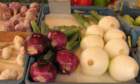 dsc07605c_small.jpg