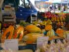 dsc07609_small.jpg