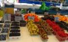 dsc07610_small.jpg