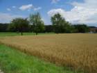 dsc07843_small.jpg