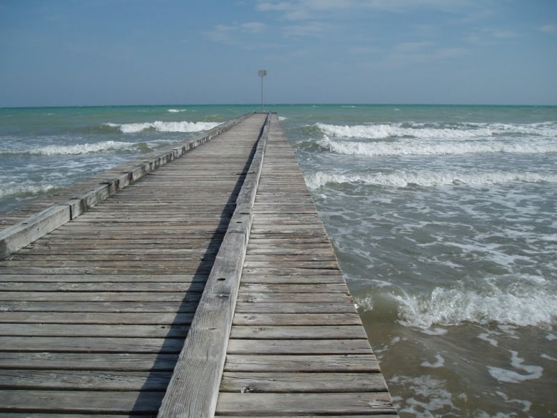 am083a.jpg