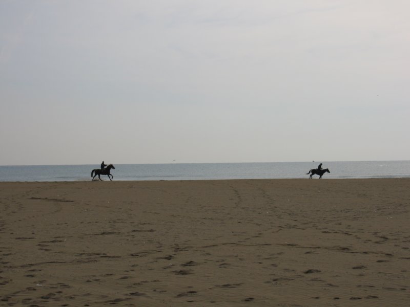 img_0764.jpg