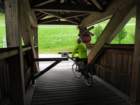 dsc00587a_small.jpg