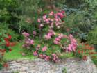 dsc00633d_small.jpg