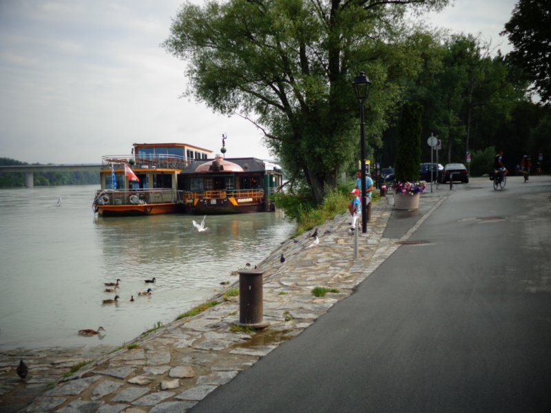 dsc08018.jpg