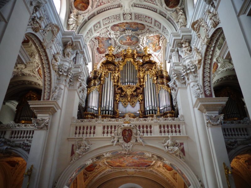 dsc08161.jpg