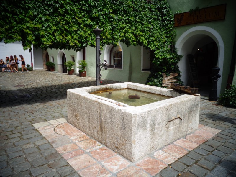 dsc07101.jpg