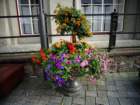 dsc07195_small.jpg