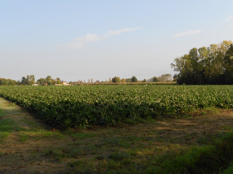 stradadelradicchio005.jpg