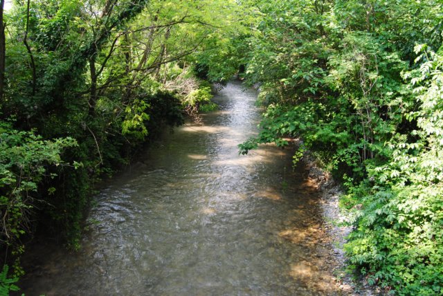 dsc_0002.jpg