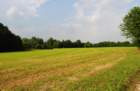 dsc_0005_small.jpg