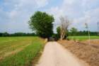 dsc_0007_small.jpg