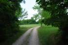 dsc_0008_small.jpg