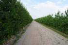 dsc_0010_small.jpg