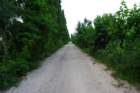 dsc_0013_small.jpg